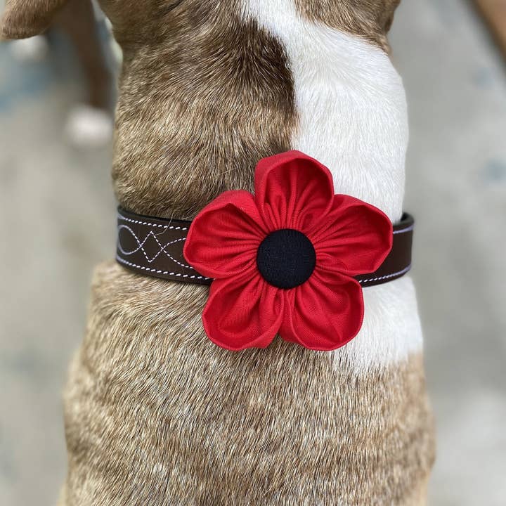 Red Poppy Collar Flower Pet Accessory for wholesale by Darcy's Canine Designs
