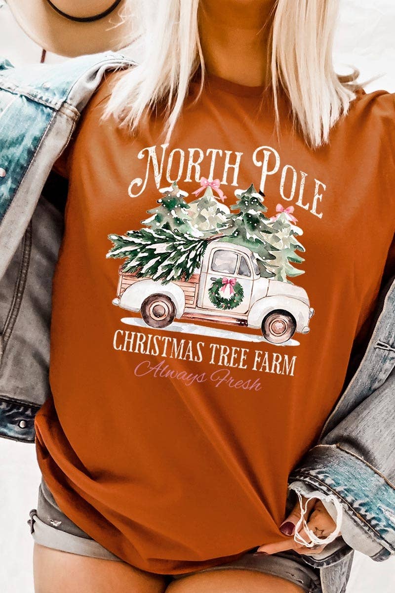 COLORBEAR – Großhandel T-Shirt (Grafikdruck) – Damen – Weihnachtsgrafik-T-Shirt Nordpol7