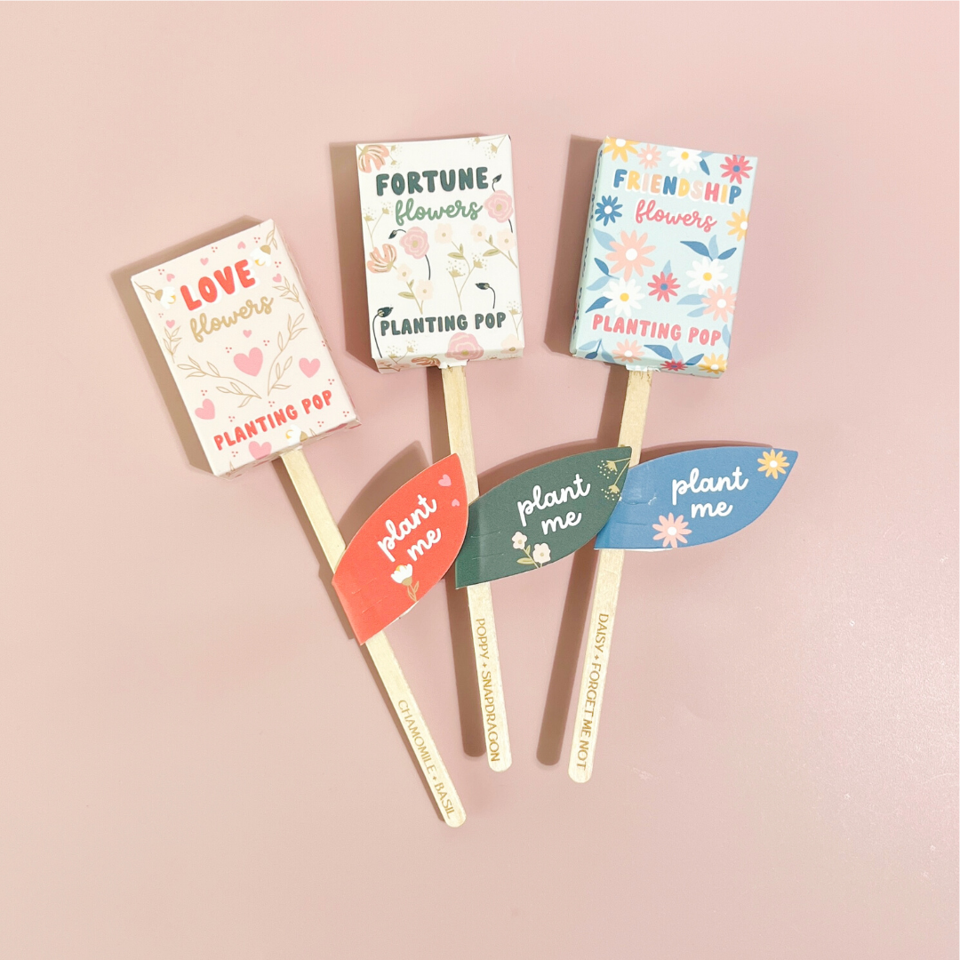 Sow the Magic - Vendita all'ingrosso Semi di piante - Germogli da piantare Friendship Flowers Garden + regalo con semi5