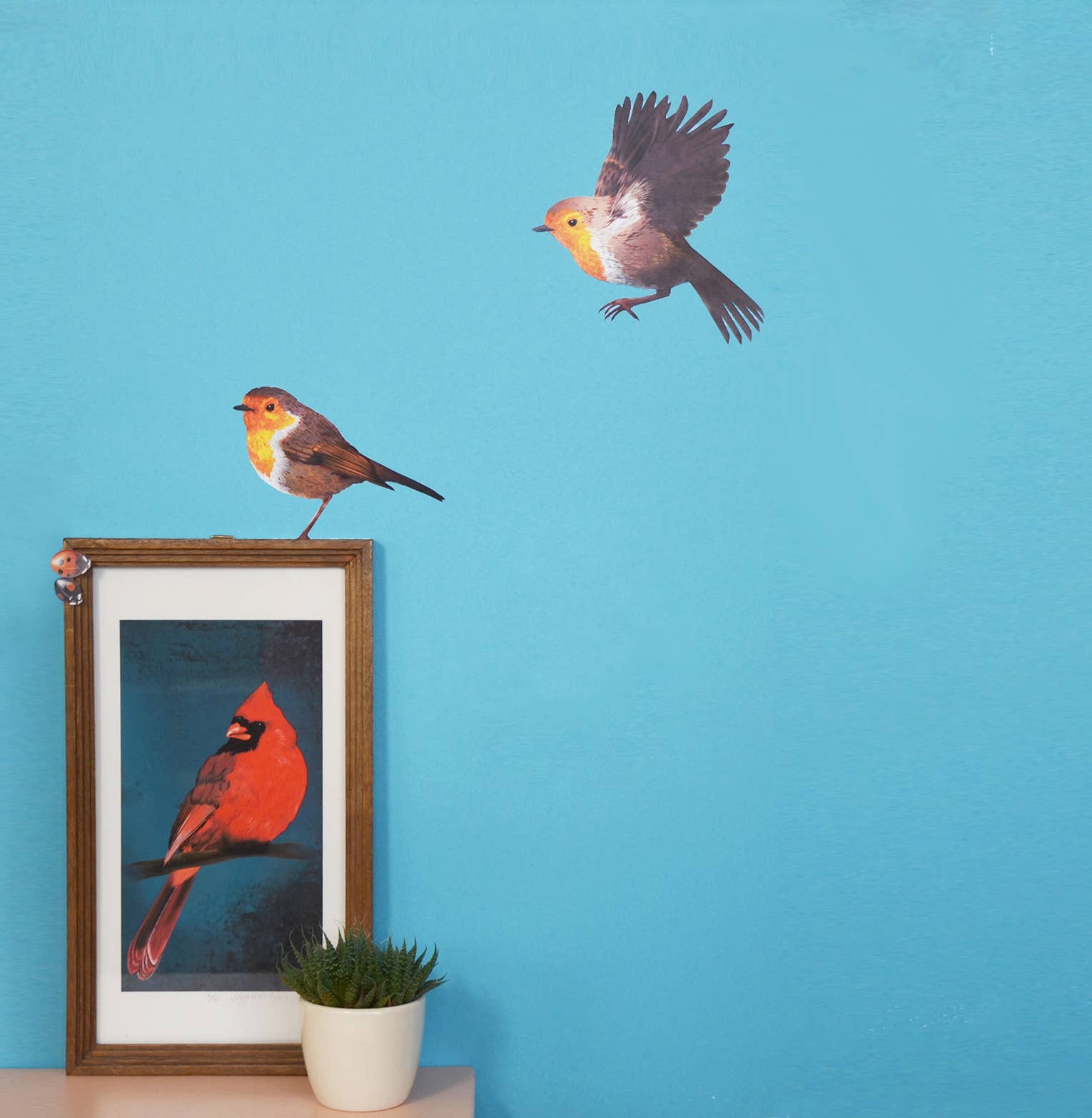 MYRTE – wholesale Fönster-/väggdekal – Väggdekor med rödhakeillustration5