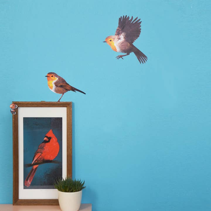 MYRTE - Vente Autocollant mural - Autocollant mural Illustration Robin5