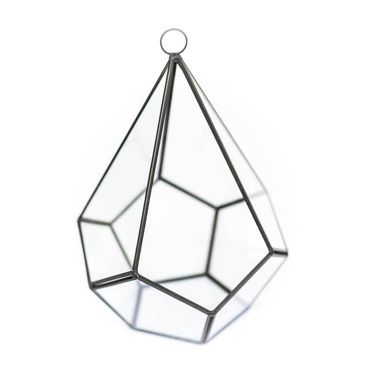 Air Plant Shop - Wholesale Terrarium - DIY Glass Diamond Terrarium with Kit and Two Air Plants