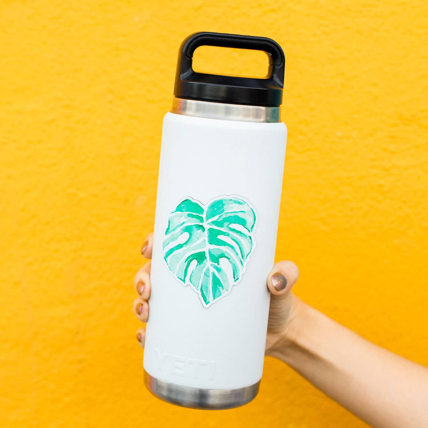 kathyphantastic – Engroshandel Klistermærke – Monstera Blad Plante Klistermærke2