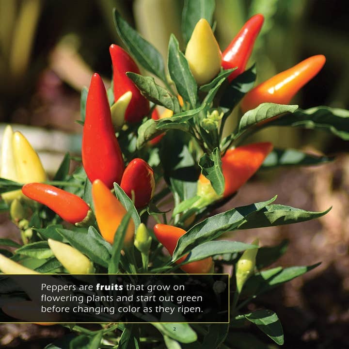 My Incredible World - Wholesale Book - Kids - Peppers! A My Incredible World Picture Book for Children2