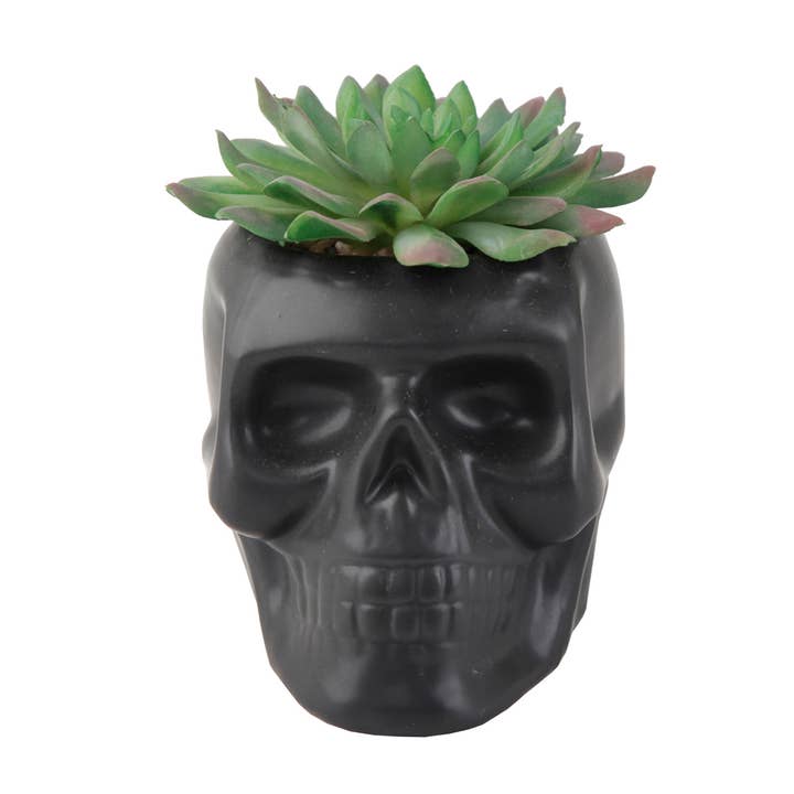 Flora Bunda Inc - Wholesale Artificial Plant - Skull Succulent Planter2