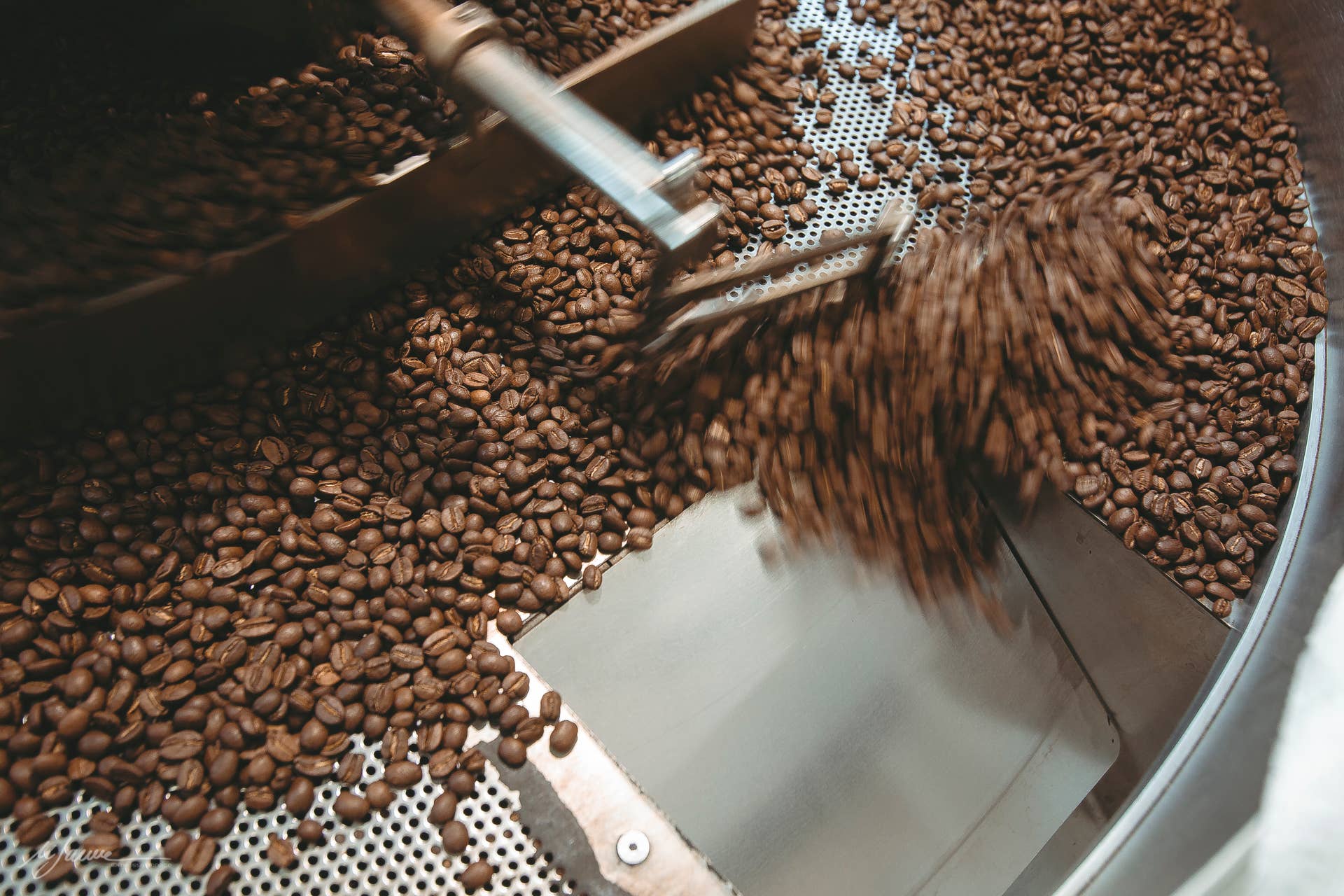 Cafe srls - Vente Grains de café - PASSION Café italien classique en grains torréfiés, 250 g6