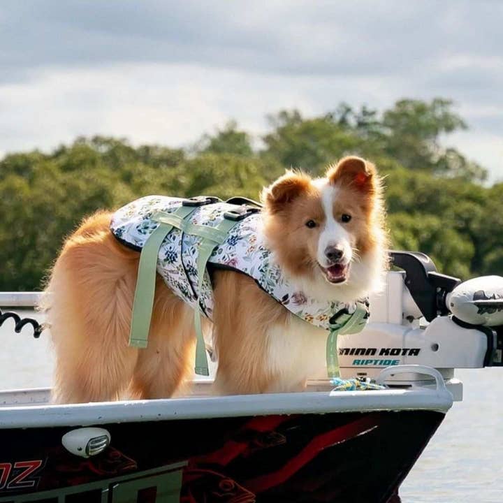 Stylish Hound - Wholesale Pet Jacket - Dog - Evergreen Dog Swim Jacket