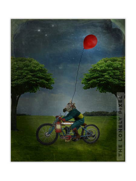 Zebra on Bicycle 8x10 Photo Print for wholesale by The Lonely Pixel