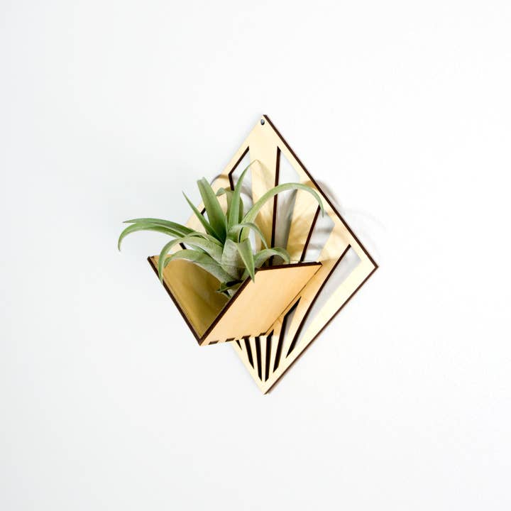 LIGHT RAZOR DESIGN STUDIO - Wholesale Wall planter - Air Plant Holder / Quadrate Wall Hanging Planter 2110
