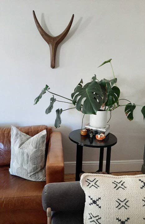 The African Home Goods - Wholesale Wall Accent - Nguni Head  Animal Head Wall Decor| Handmade Farmhouse Decor - Gunsmoke2