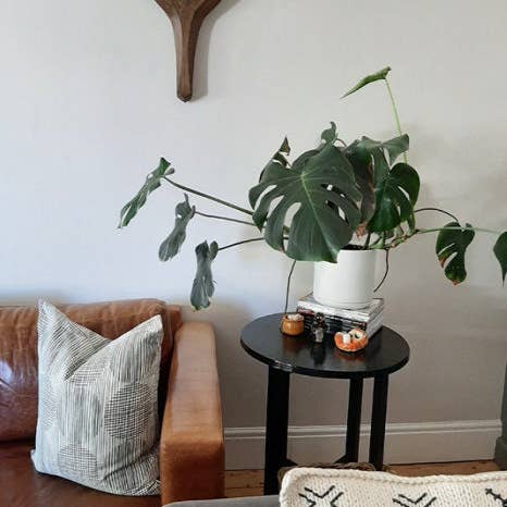 The African Home Goods - Wholesale Wall Accent - Nguni Head Animal Head Wall Decor| Handmade Farmhouse Decor - Gunsmoke2