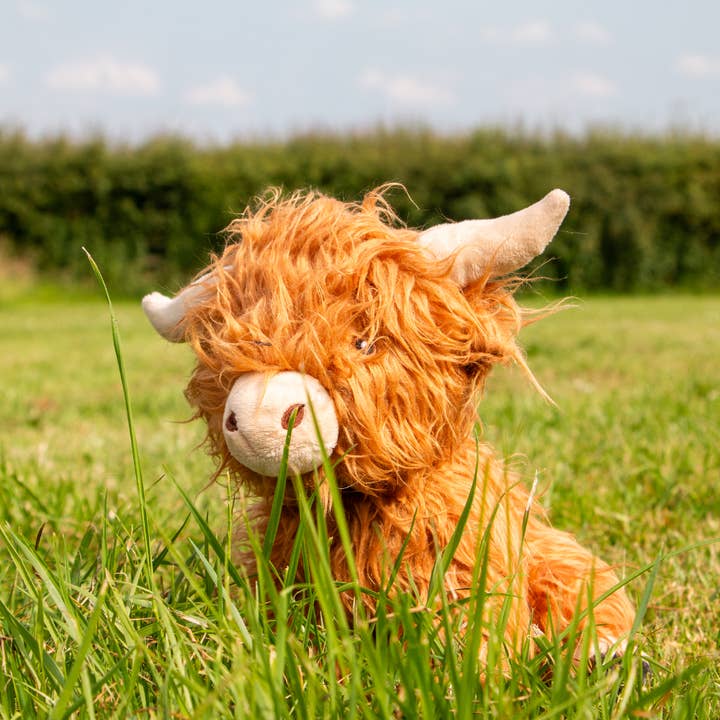 Ancol Pet Products Ltd - Wholesale Pet Plush Toy - Dog - Heritage Fergus Highland Cow