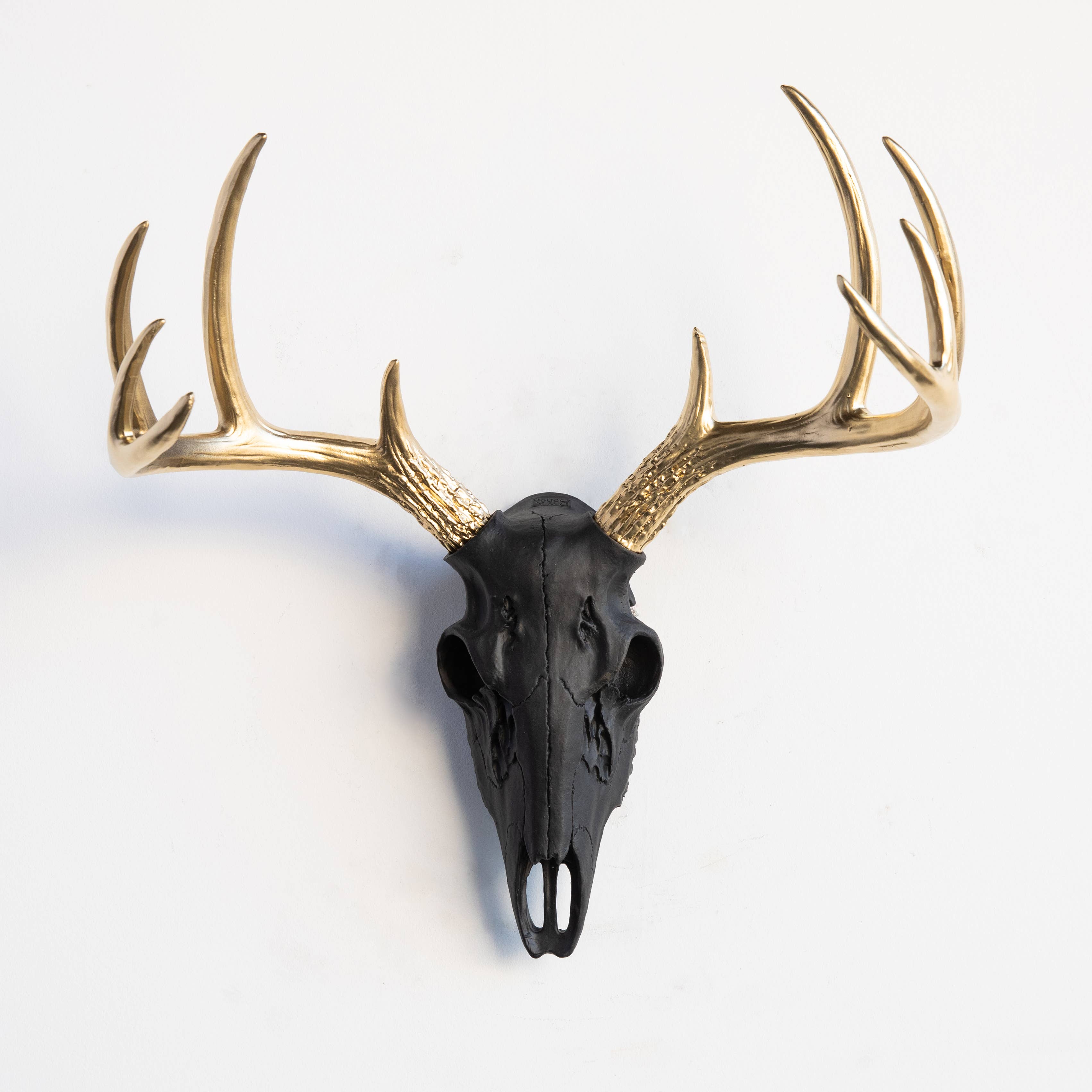 Near and Deer - Wholesale Dimensionele/3D-muurkunst - Faux Mini Buck Skull muursteun4