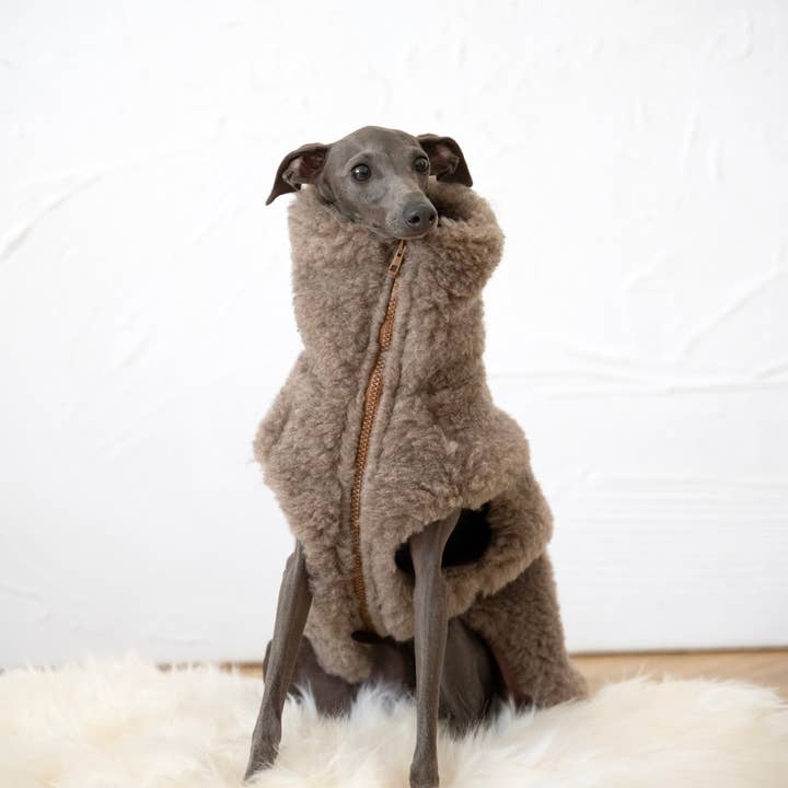 Mellow - Vente Gilet – chien - Gilet en laine pour chien - Beige