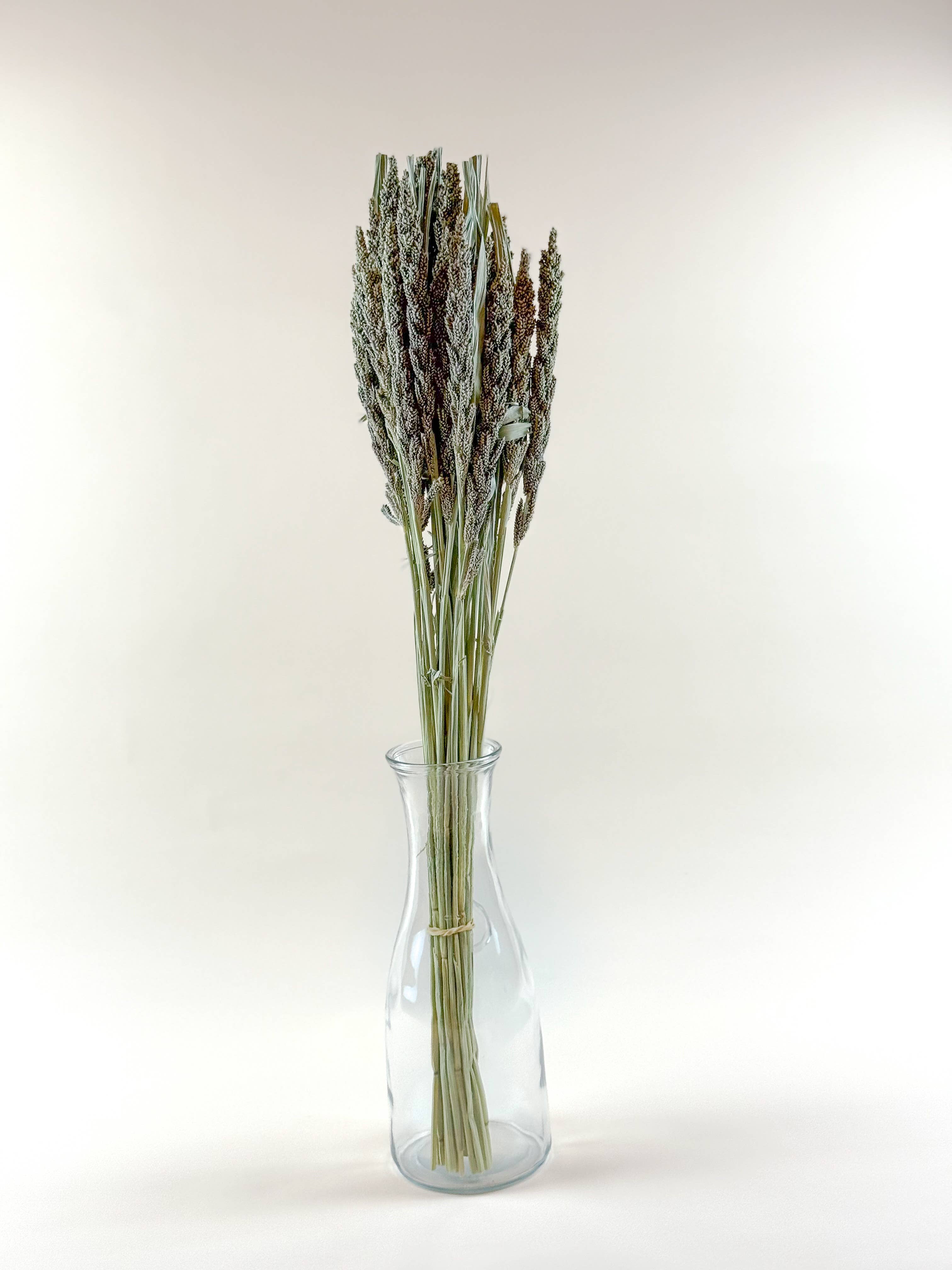 Lovejoy Farms Premium Dried Flowers - Wholesale Dried/Pressed Flowers - Tapestry Millet – Natural Dried Millet for Floral Design3