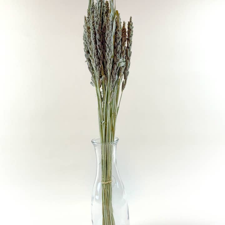 Lovejoy Farms Premium Dried Flowers - Wholesale Dried/Pressed Flowers - Tapestry Millet – Natural Dried Millet for Floral Design3