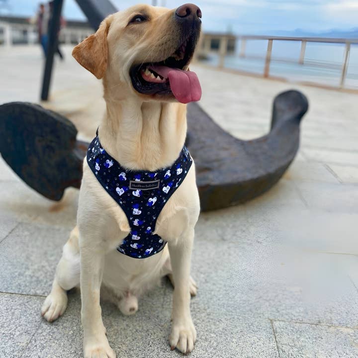 HUELLITAS INFINITAS - Wholesale Tuig voor huisdieren - Hond - Fantasy Hearts verstelbaar harnas5