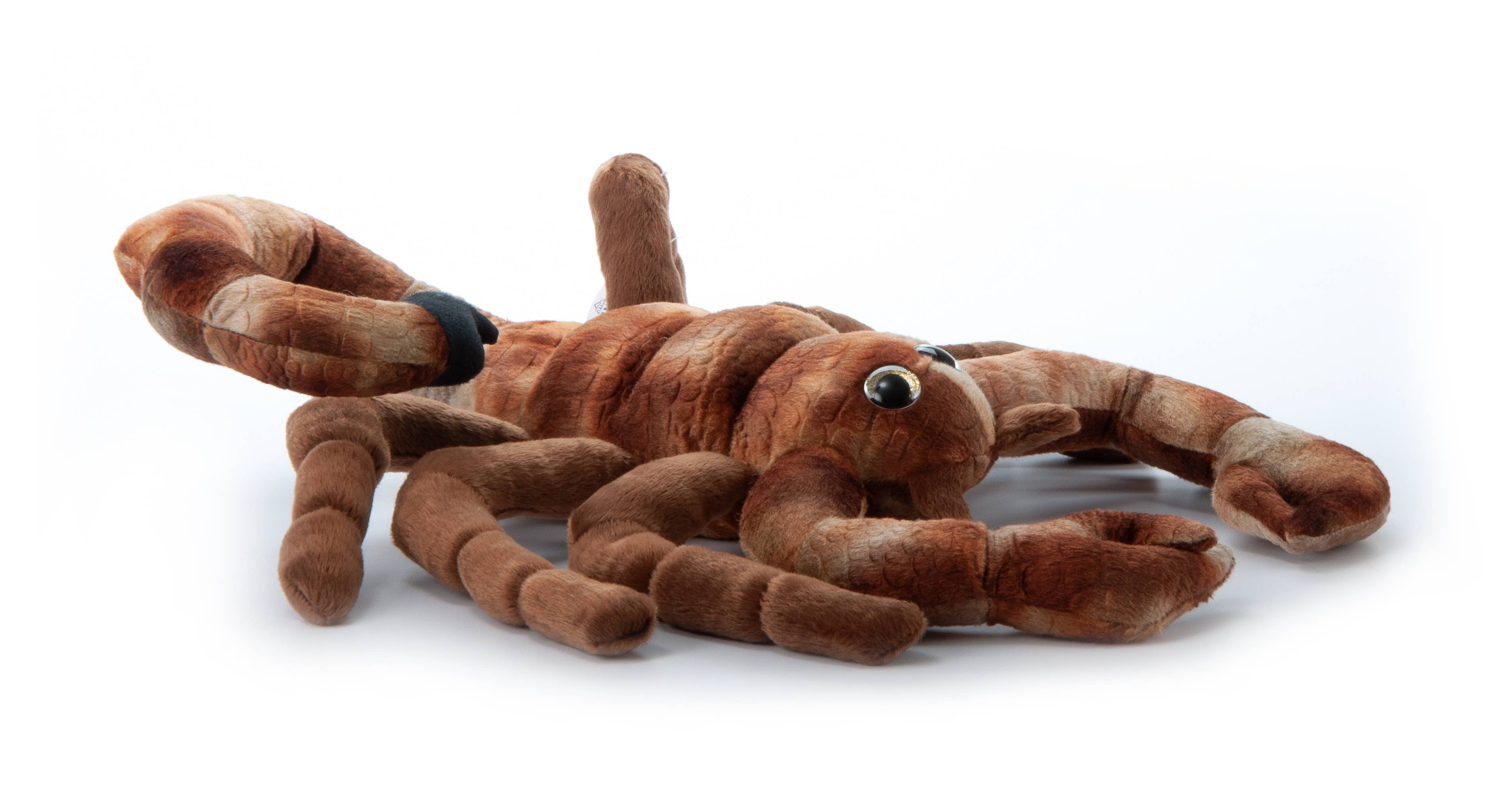 The Petting Zoo – wholesale Stuffed/plush toy – Kids & baby – 12" (30cm) Wild Onez Scorpion Halloween Plush 2