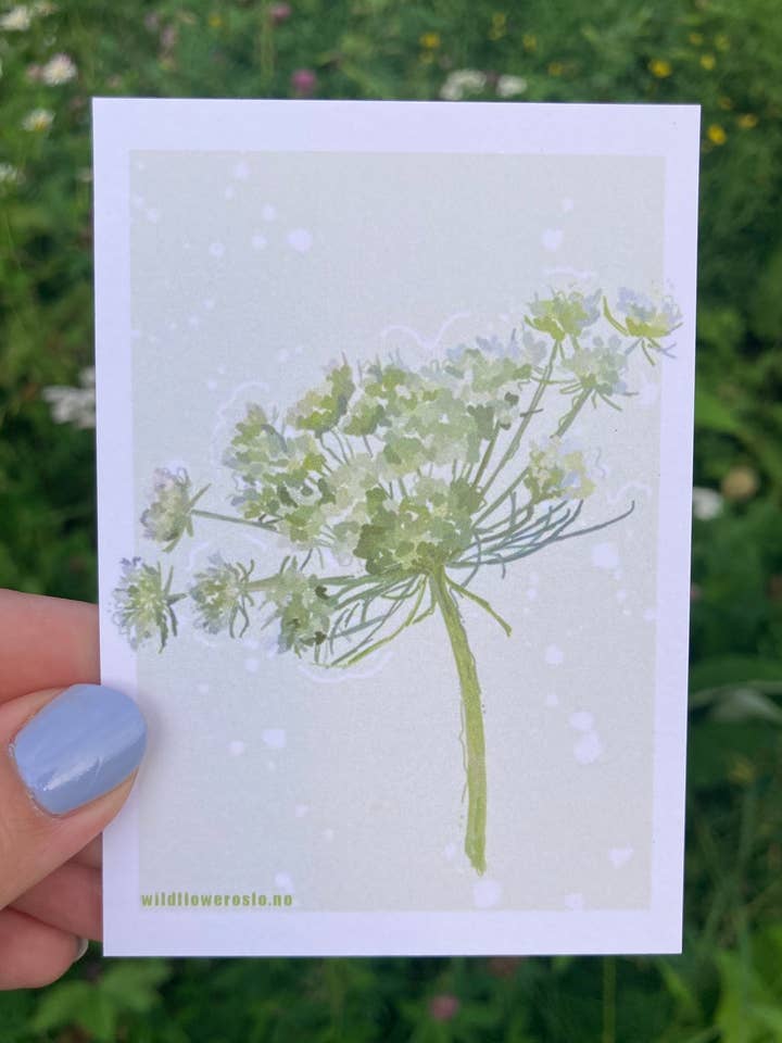 Cartão Postal A7 # 0082 por atacado de Wildflower Oslo