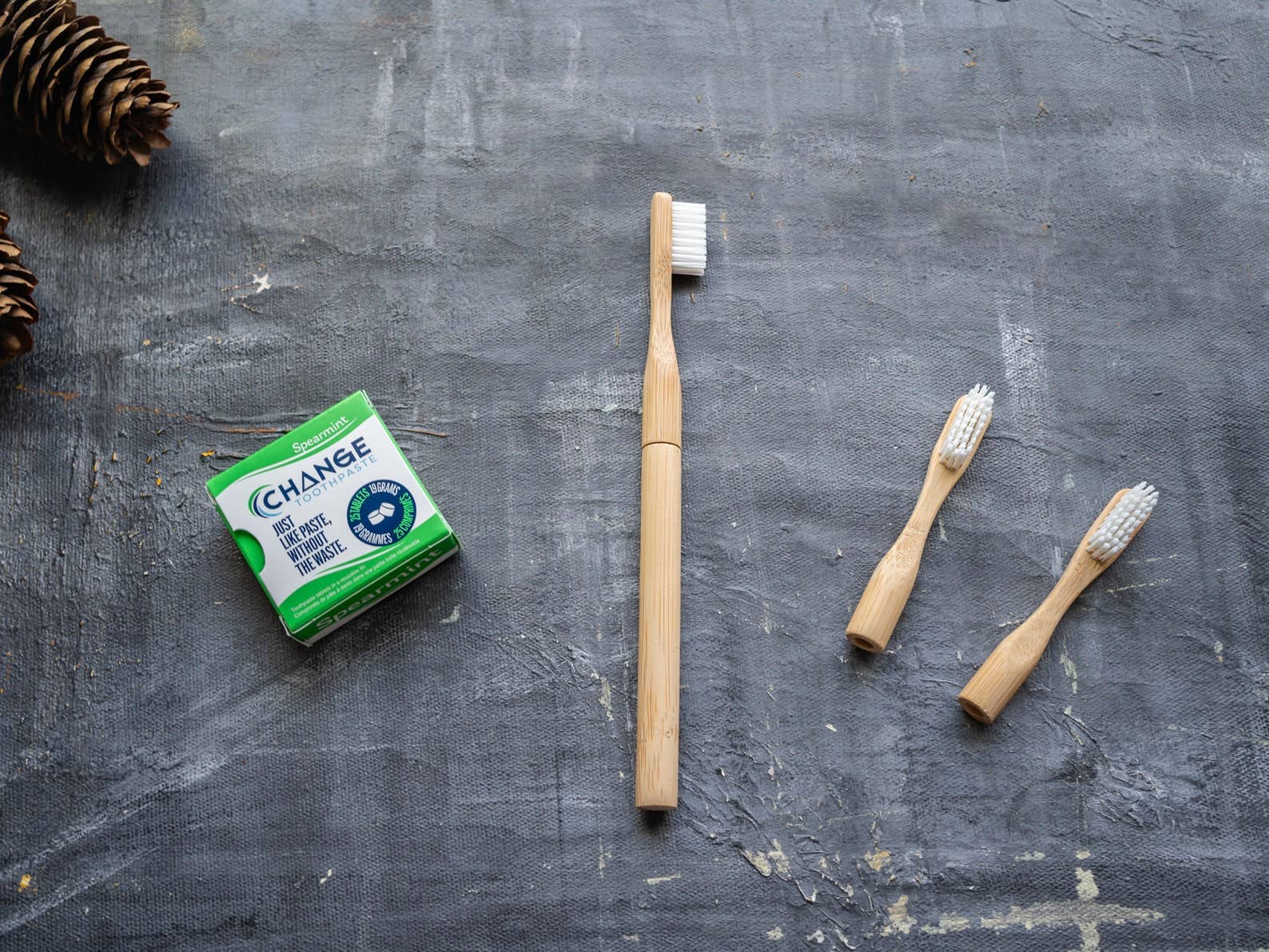 Plantish - Wholesale Toothbrush - Refillable Bamboo Toothbrush (Canada only)3