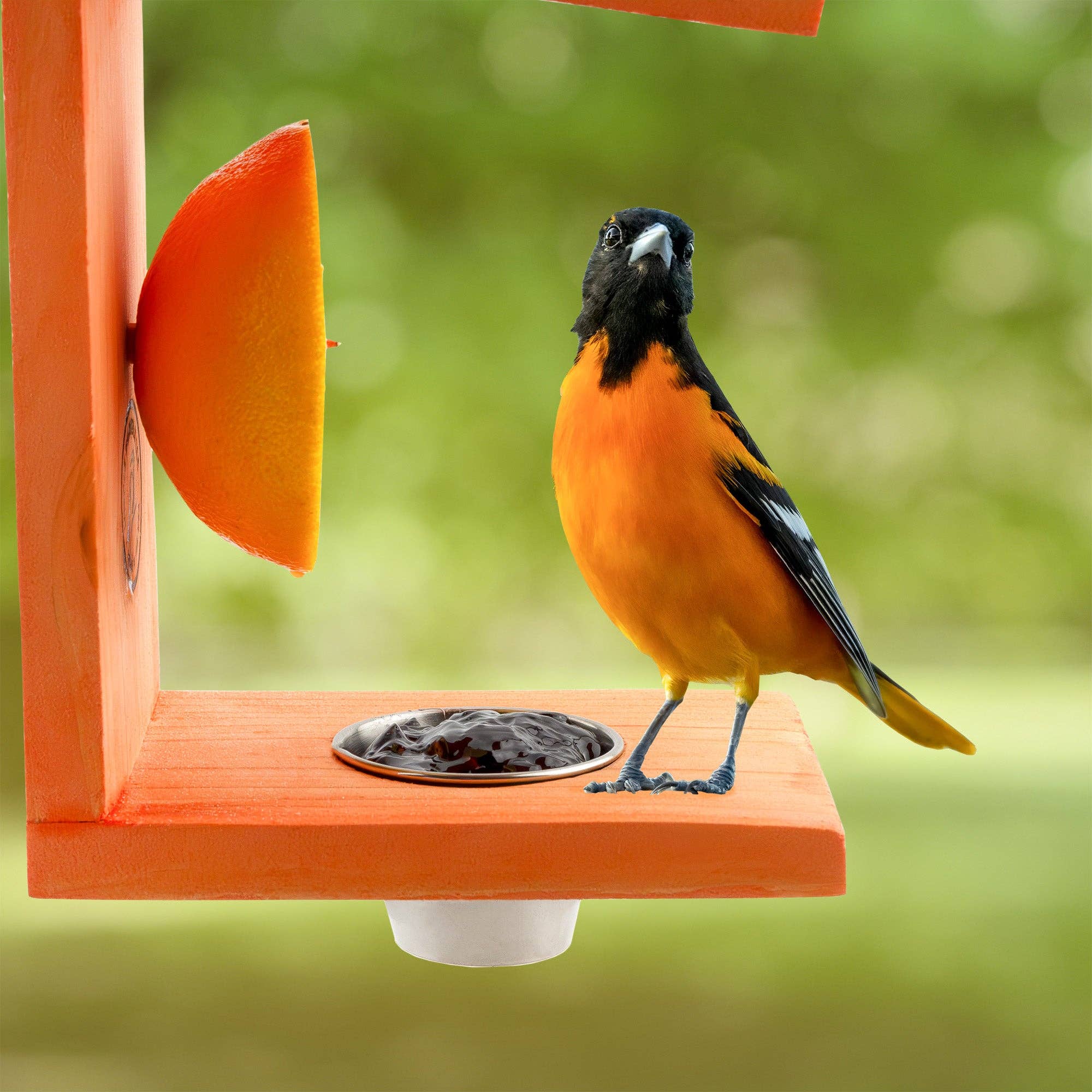 Kurated Korner - Wholesale Bird Feeder - Uncle Dunkel's Handmade Oriole Bird Feeder6