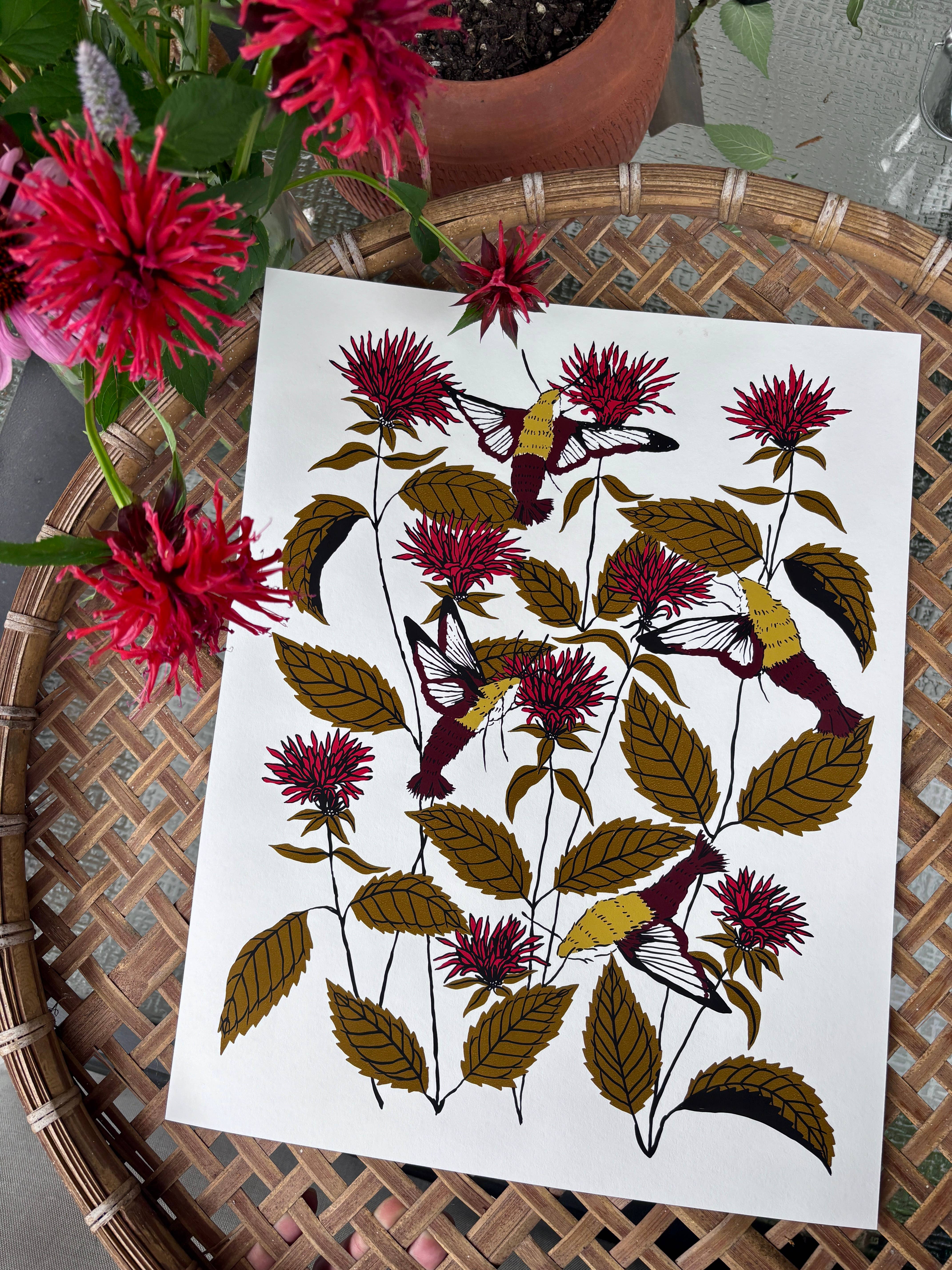 Needlebone, LLC - Wholesale Art Print - Bee Balm - 14x11 Print