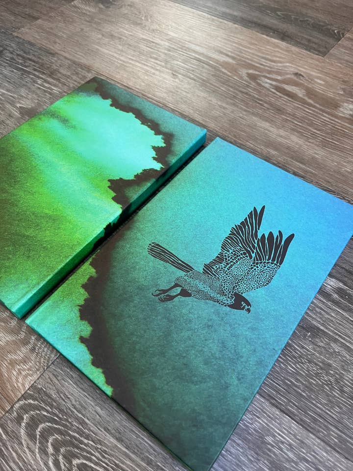 Cuaderno de tapa dura Aves de Presa para venta al por mayor de Bryn Merrell Art