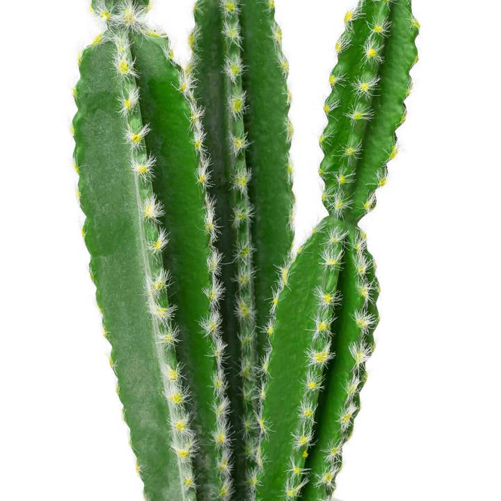 Portofino International Trading, USA - Wholesale Artificial Plant - Faux Euphorbia Cactus with Ceramic Pot 24"2
