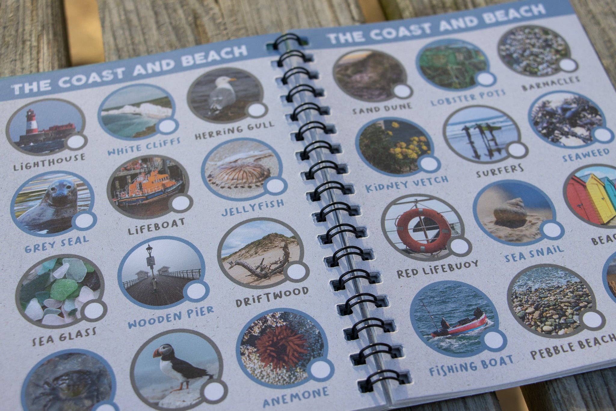 The Wild Spark – wholesale Nature and outdoors – Off The Beaten Track: The Very Wild Scavenger Quest3