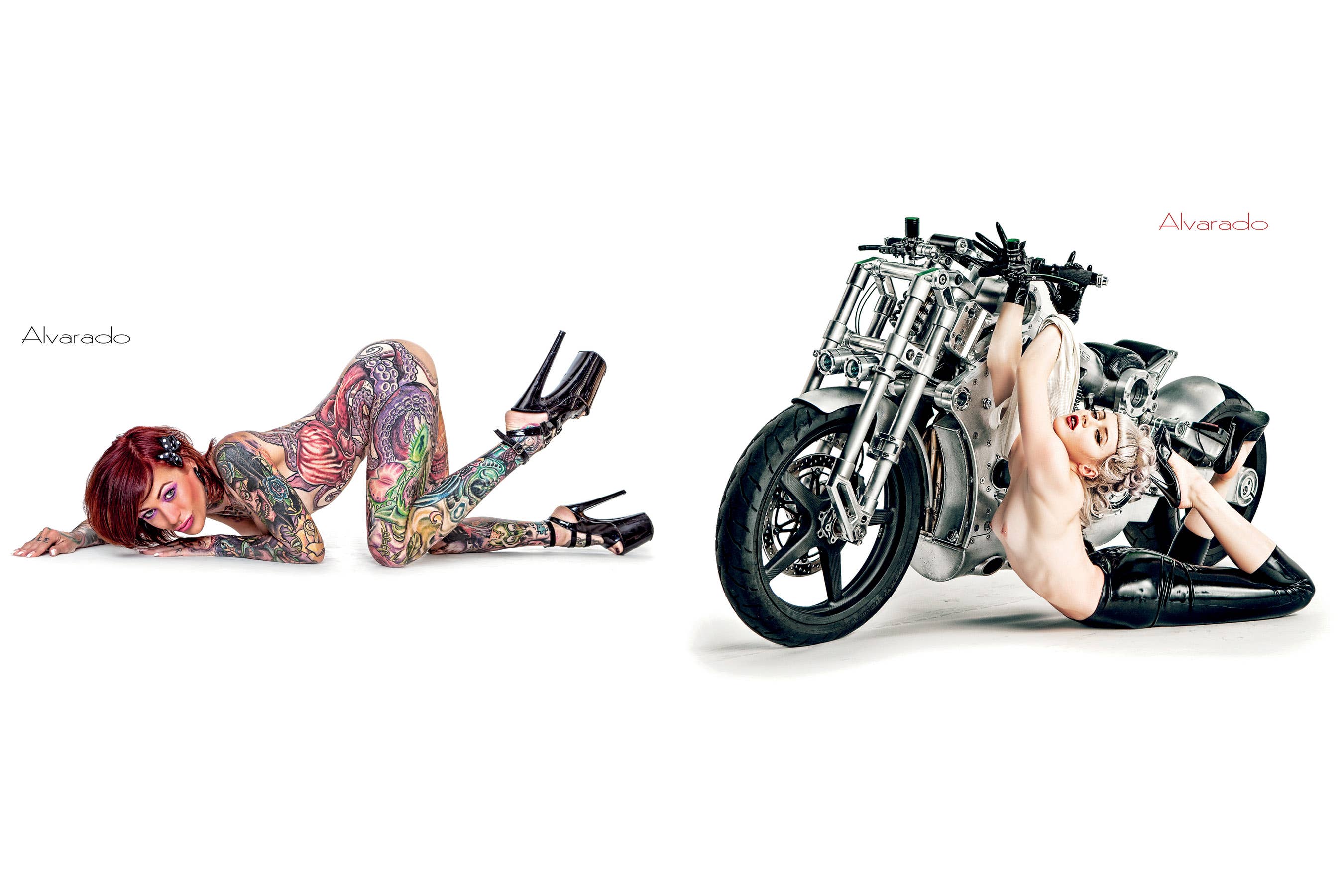 Schiffer Publishing - Venta al por mayor Display Book - Desnudos pin-up de Alvarado, 2ª edición3