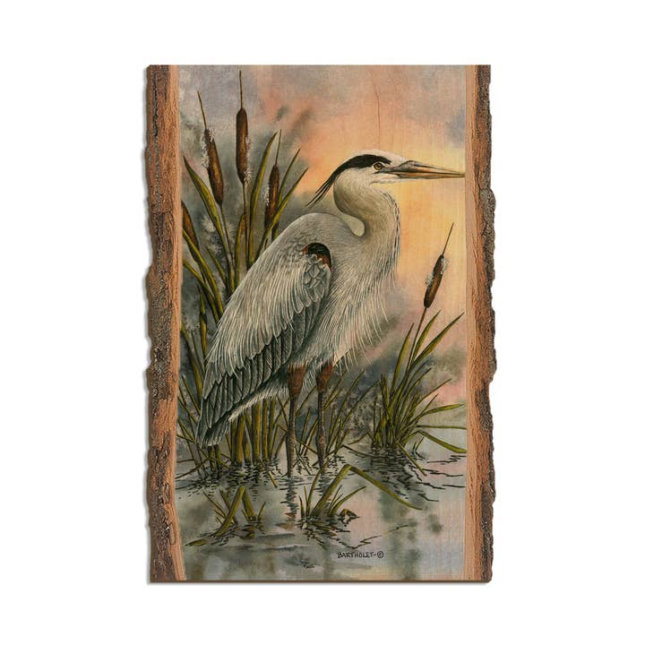 First Light Heron de Bartholet - Bord naturel pour la vente par DaydreamHQ
