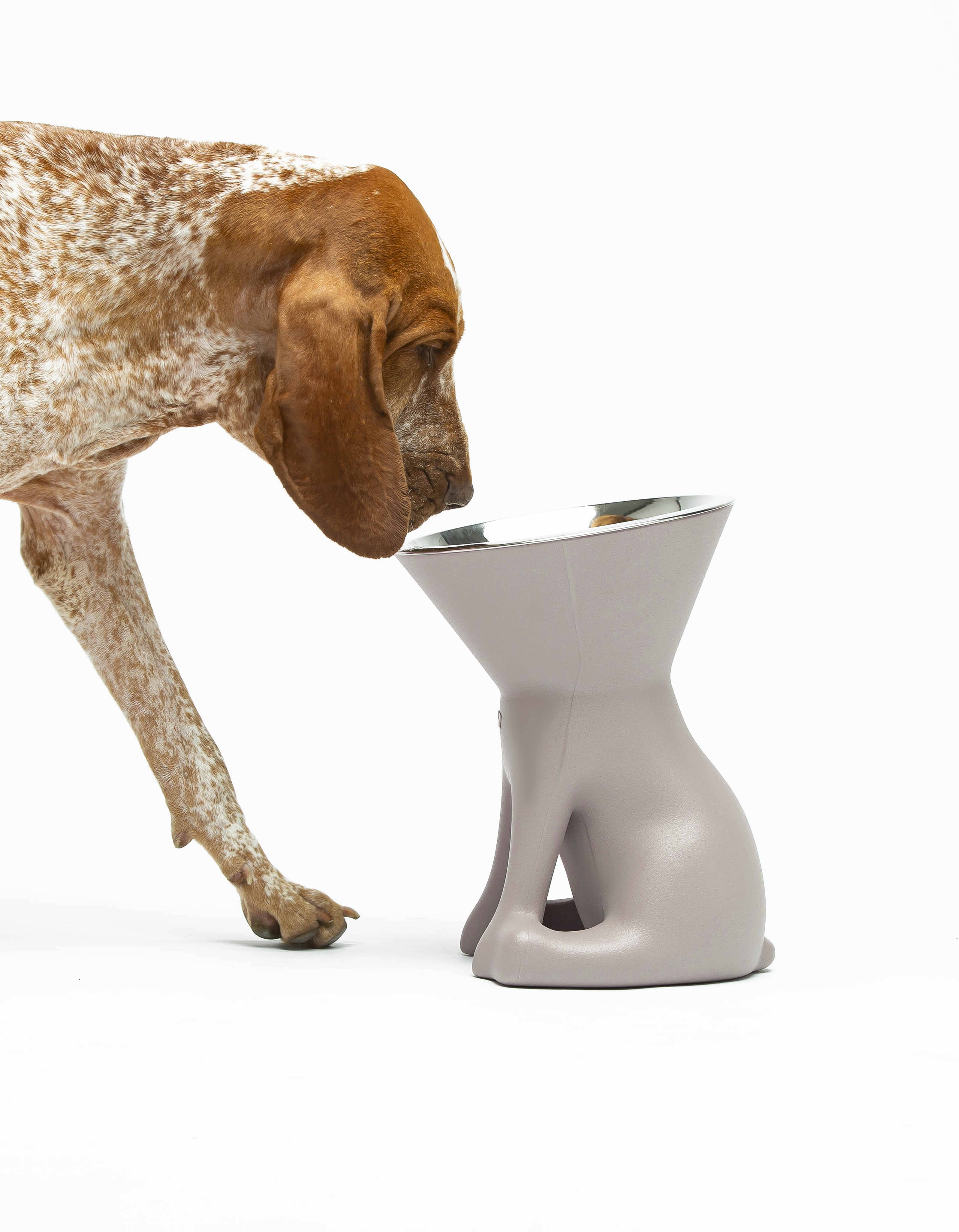 United Pets - Vente Gamelle – chat et chien - Elizabeth : gamelle surélevée pour chien23