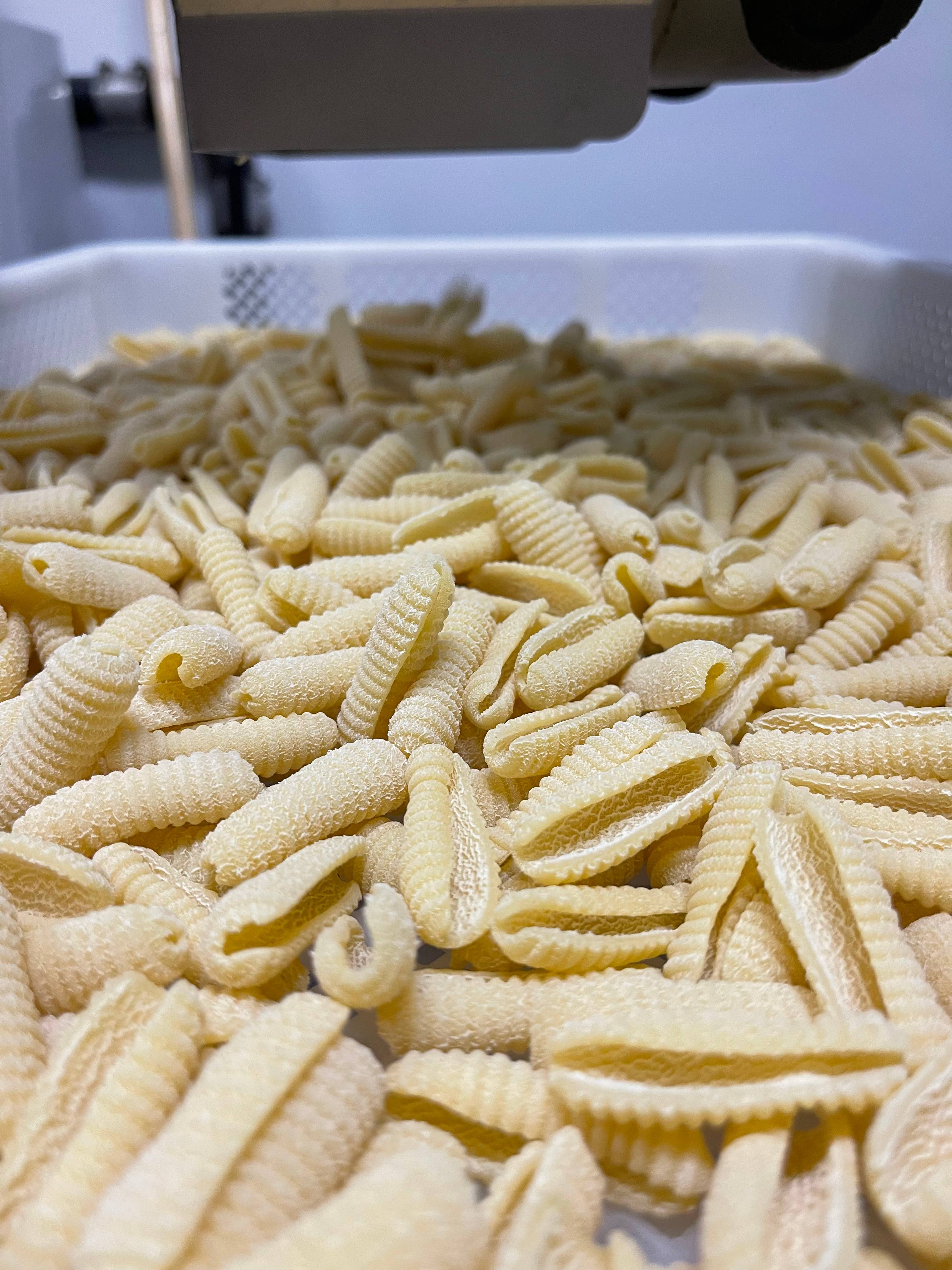 Your Pasta – wholesale Pasta – Bulk Cavatelli0