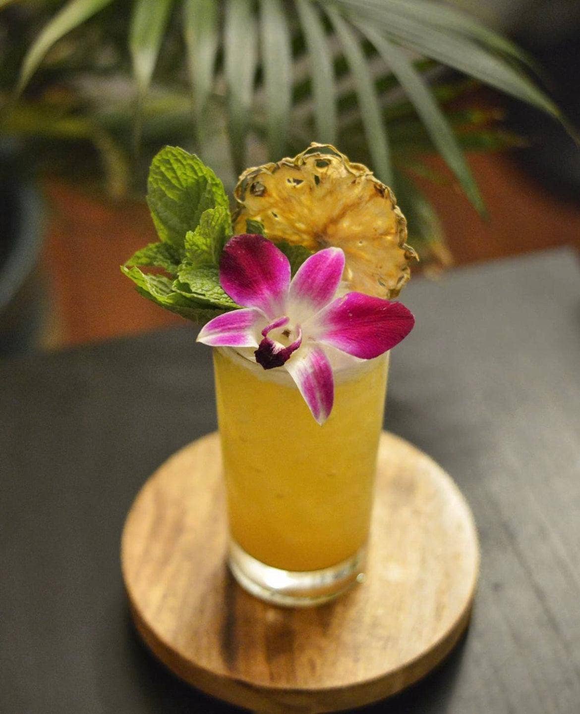 Cocktail Garnish Co. - Vente Fruits secs/déshydratés - Tranche d'ananas déshydratée (avec écorce), 14 tranches5