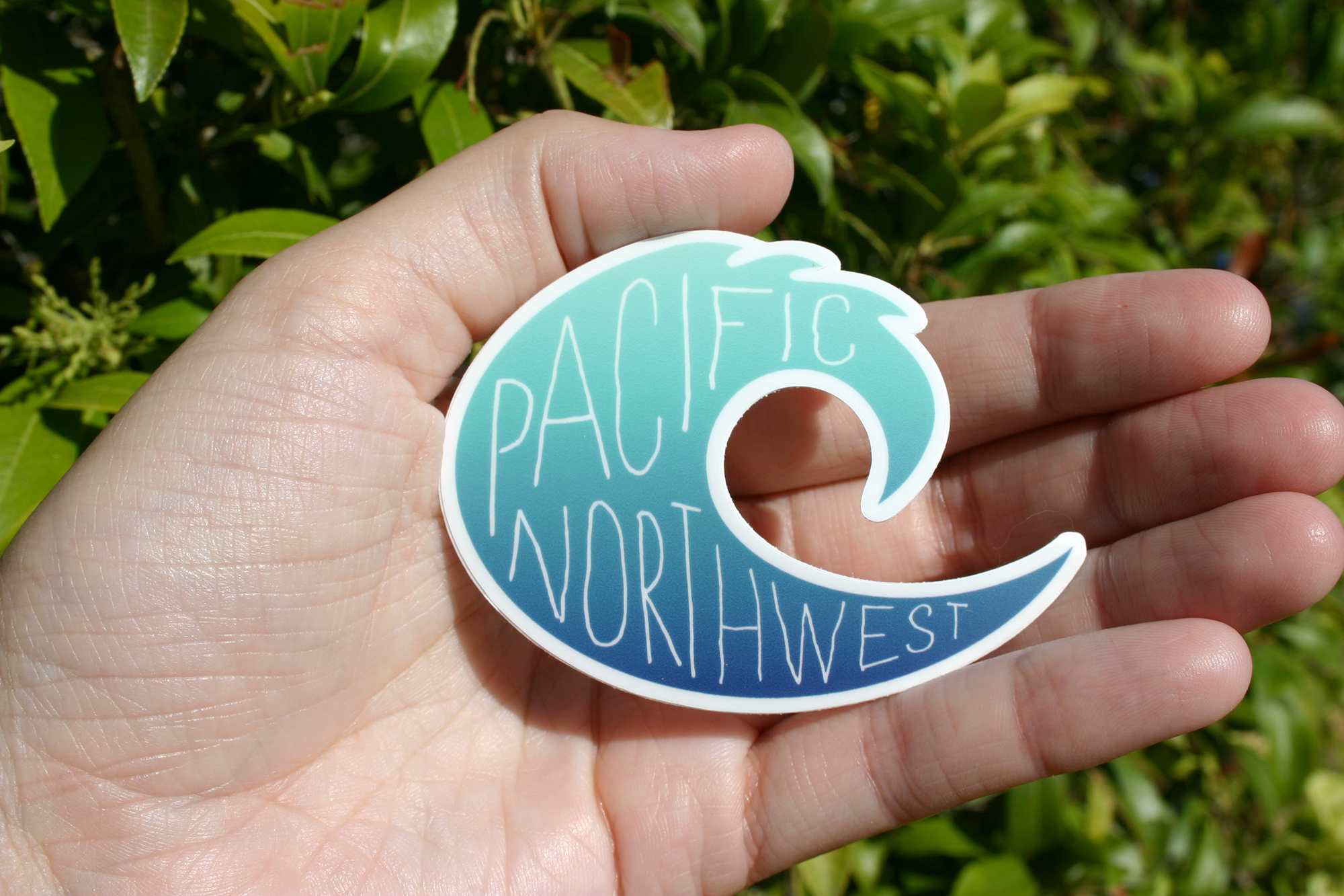 Discovery Stickers - Wholesale Sticker - Pacific Northwest Wave Vinyl Sticker8