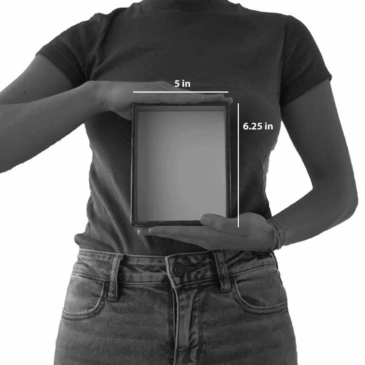 Jr. RangerLand - Wholesale Card Game - Jr. Rangerland Fickle Fish Card and Dice Game4