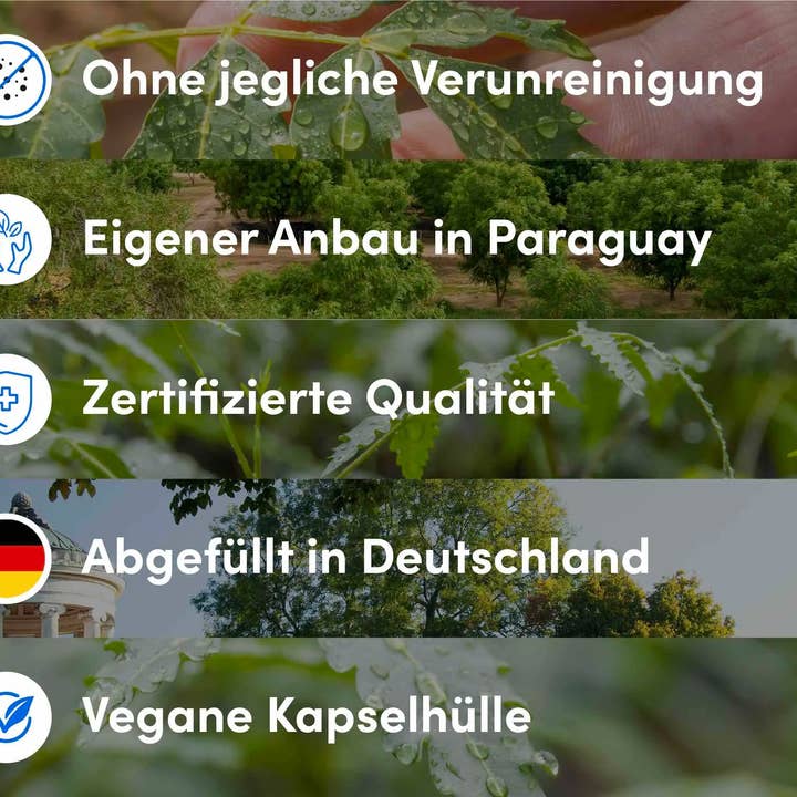 reeleef – Großhandel Nahrungsergänzungsmittel/Vitamin zum Einnehmen – Vegane Neem Kapseln mit reinem, hoch qualitativem Neempulver2