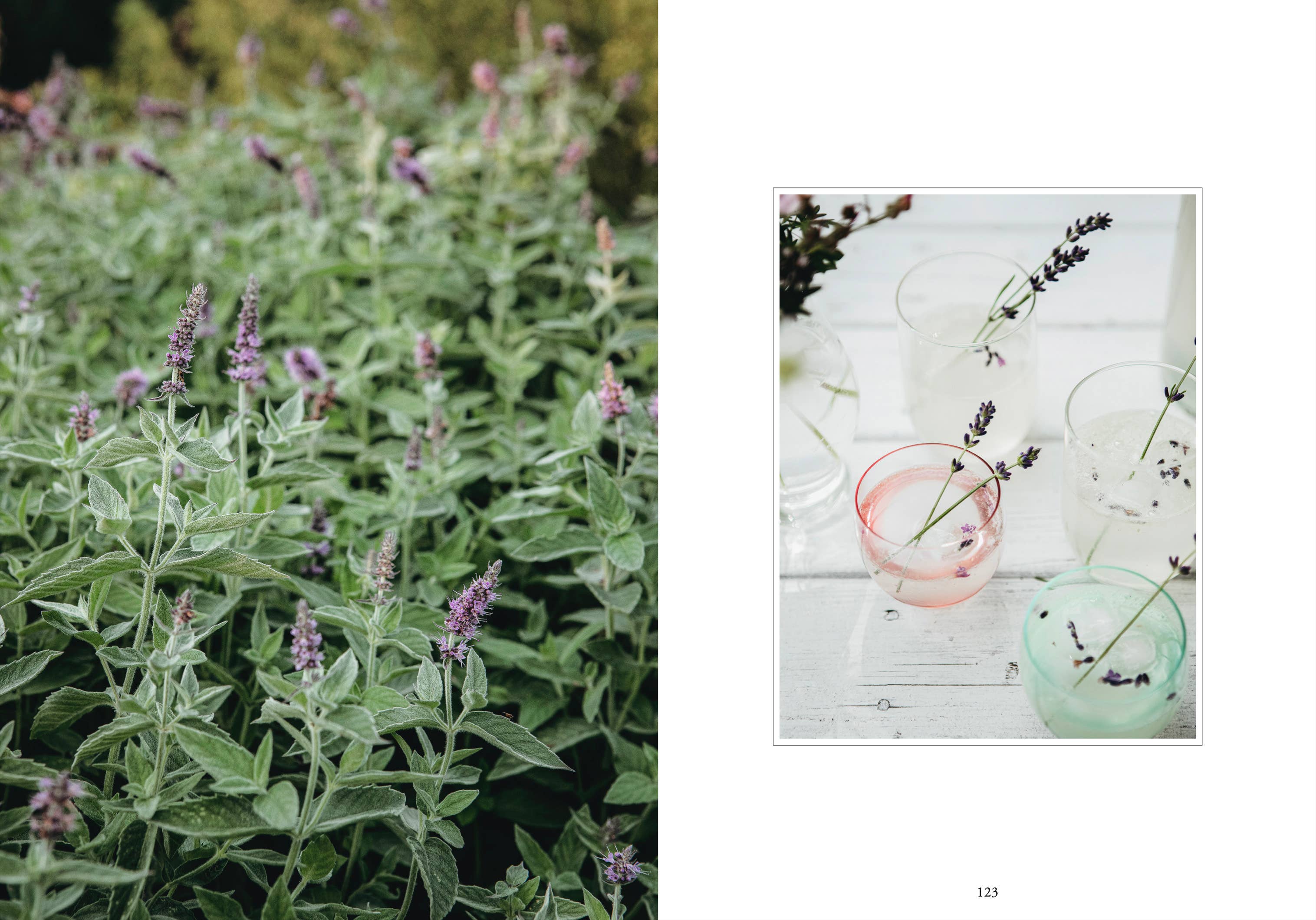 Cozy Publishing - Wholesale Home & Garden Book - Living with Herbs9