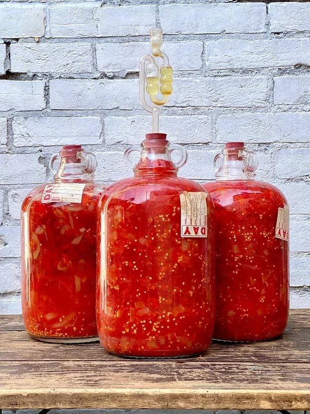 Weymouth 51 Hot Sauces - Venta al por mayor Salsas picantes - Salsa de chile superpicante vegana fermentada Dorset Naga 220 ml7