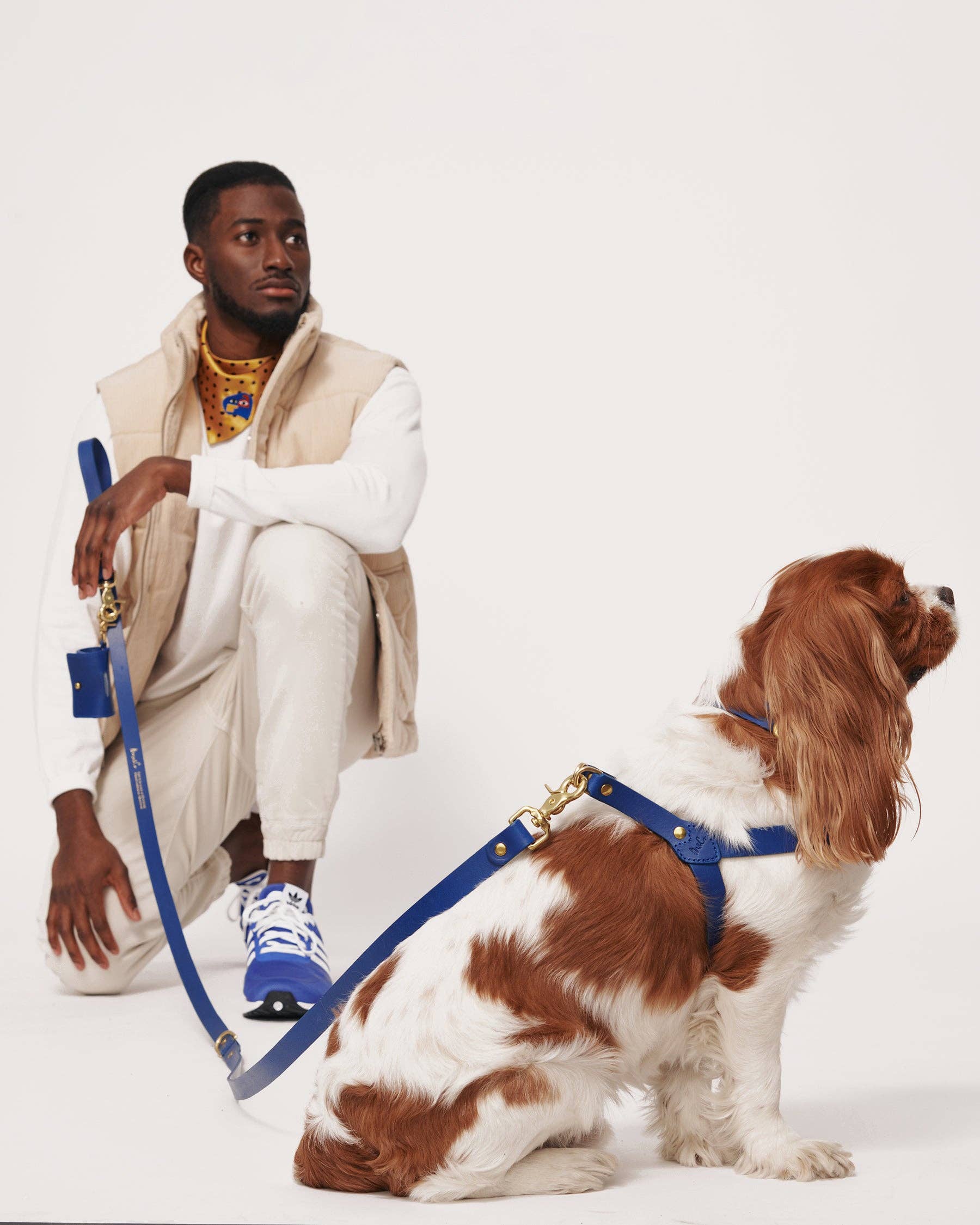 Muso & Co – Großhandel Haustiergeschirr – Hund – Klassisches Geschirr aus pflanzlich gegerbtem Leder52