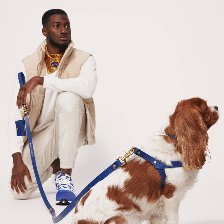 Muso & Co – Großhandel Haustiergeschirr – Hund – Klassisches Geschirr aus pflanzlich gegerbtem Leder52