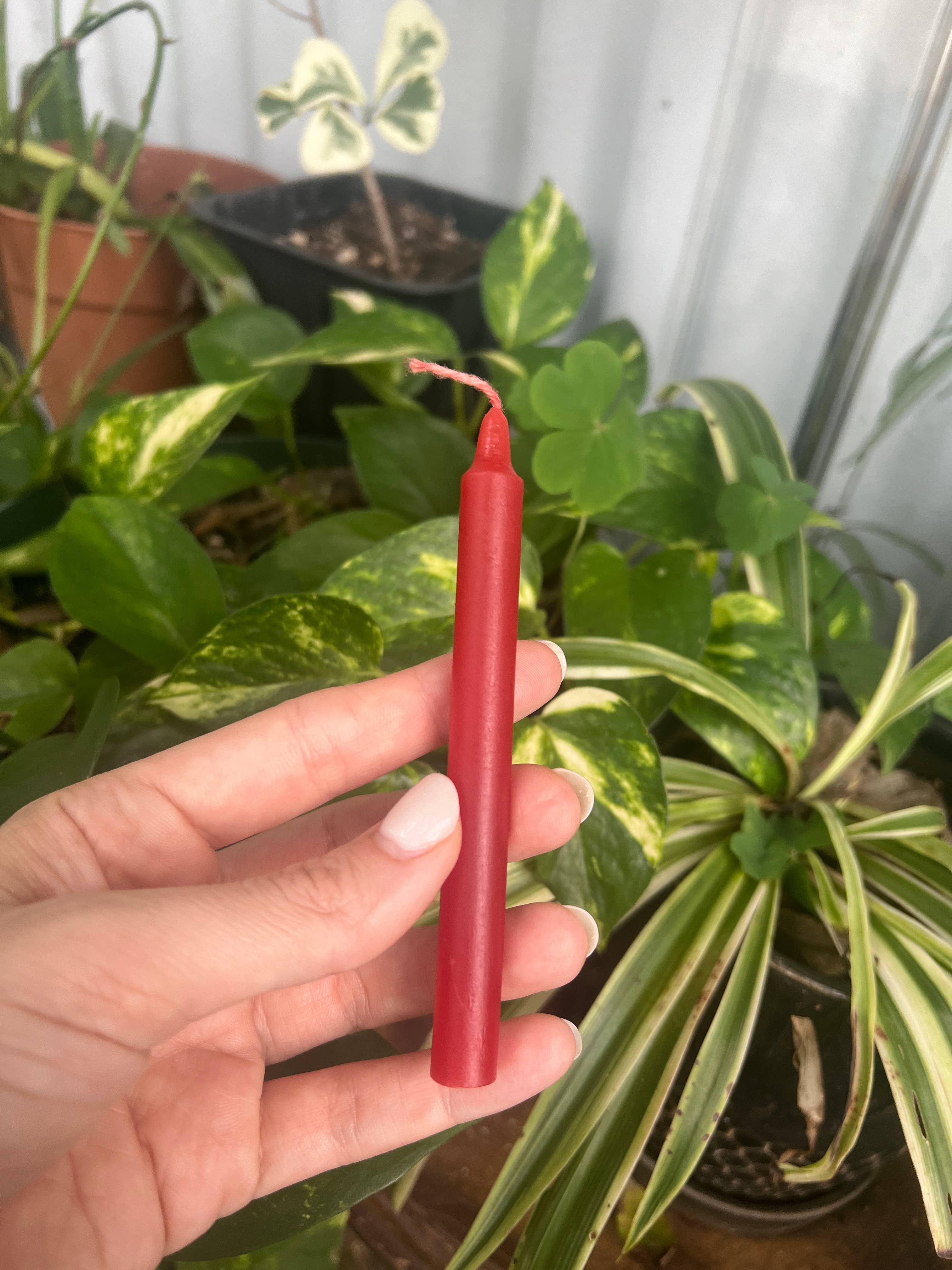 Apothika 9 - Wholesale Meditation Supplies - Love & Abundance Spell Kit – Sugar Zaddy Witchcraft Ritual4