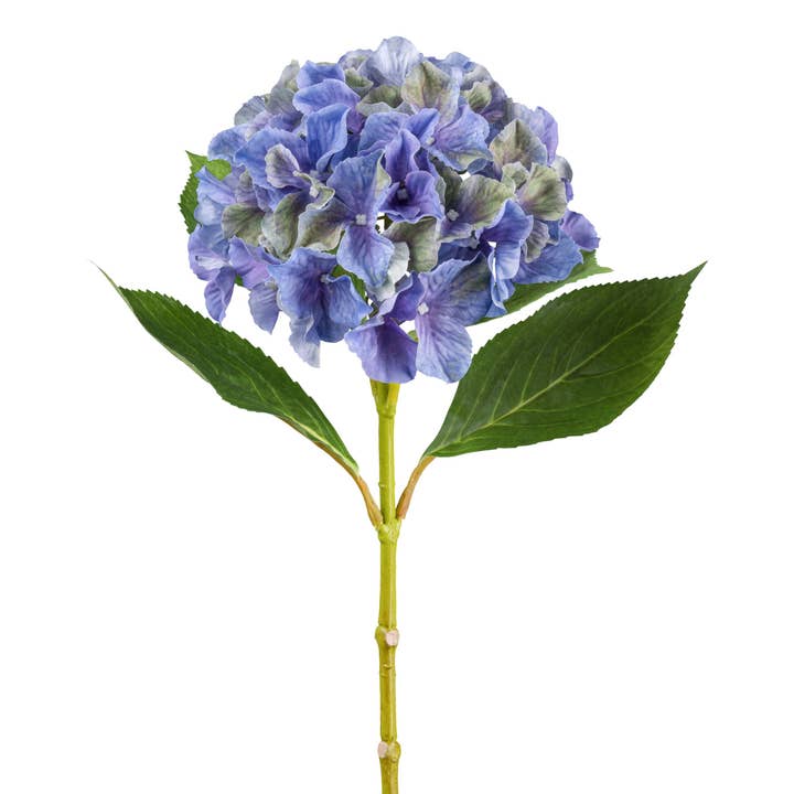 Blå hortensia, 66 cm för wholesale av GASPER GmbH