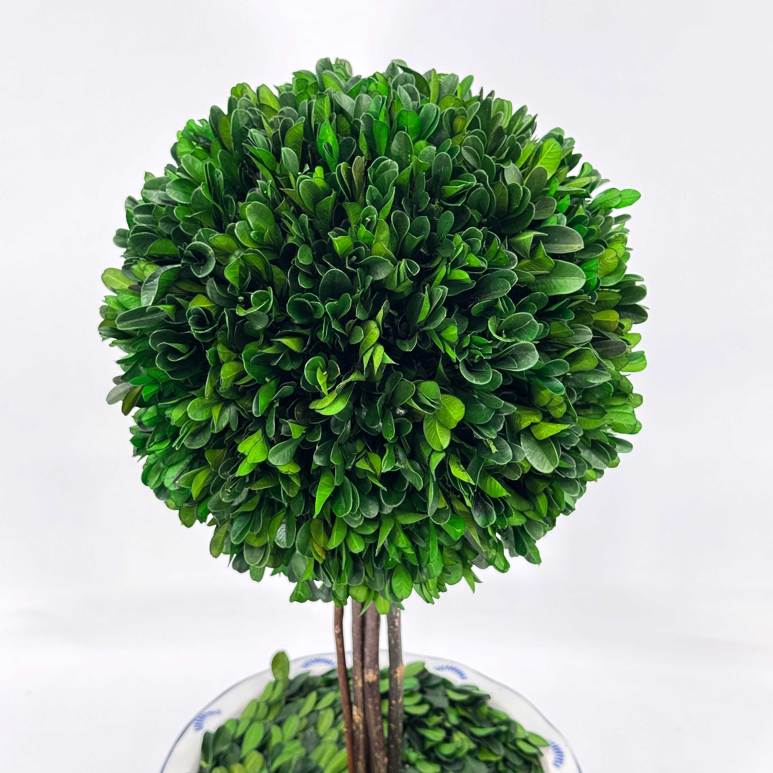 Galt International Company - Vente Plantes artificielles - Arbre topiaire en boule de buis dans un pot rond en céramique bleu et blanc8