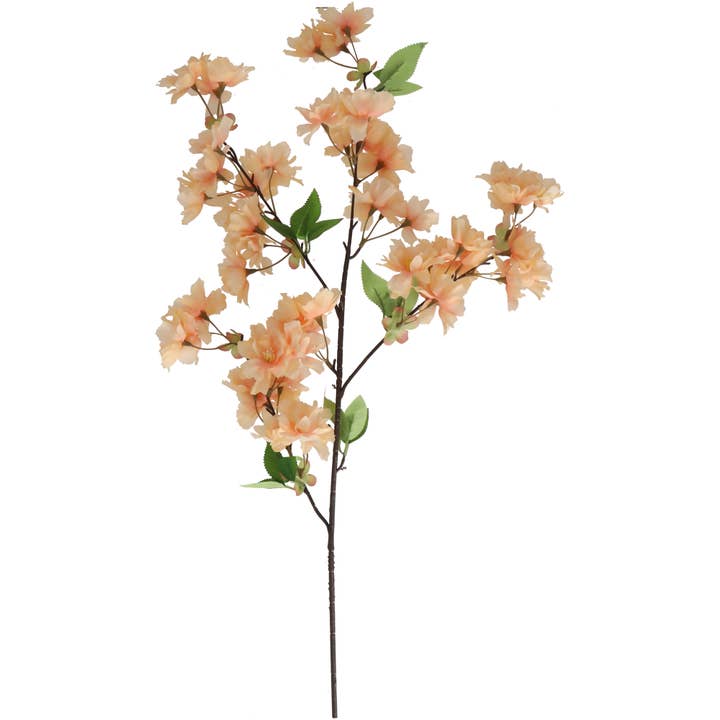 Ramo di ciliegio Alenia, L100cm, Pesca per la vendita all'ingrosso da parte di Vosteen