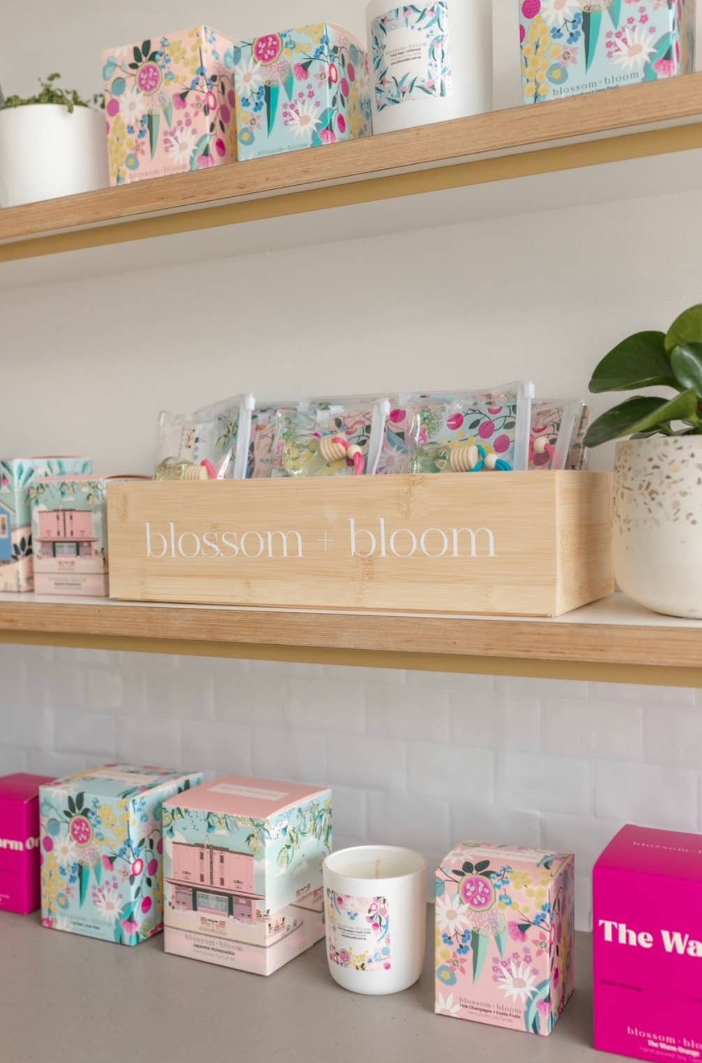 Blossom and Bloom - Wholesale Reed Diffuser - Diffuser starter bundle