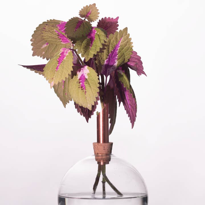 Glasilium Vase Transparent for wholesale by Scandinavia Form