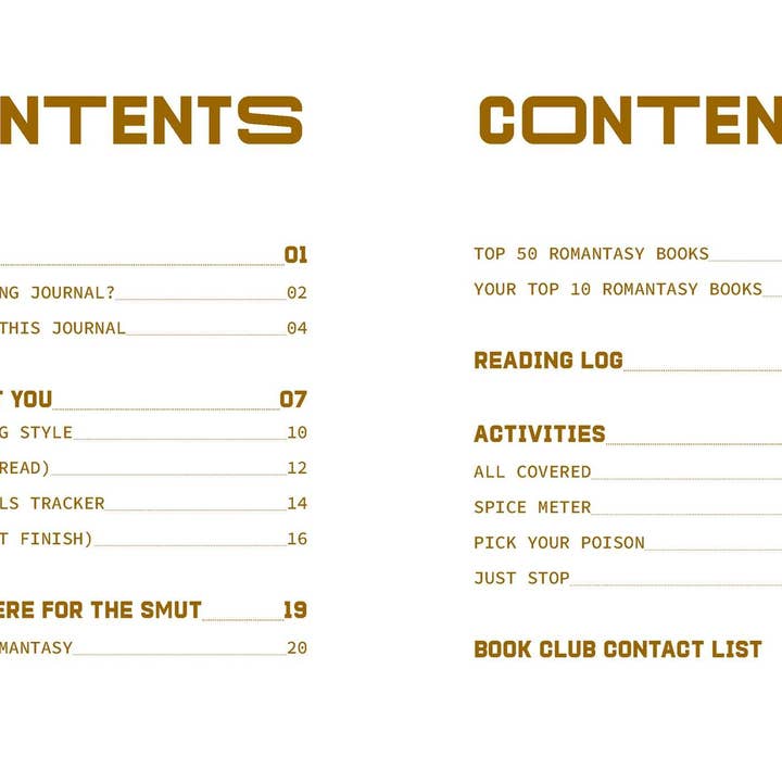 WONDER IMPORTS AUSTRALIA - Wholesale Journal/diary - A Reading Journal: Mostly Here for the Smut4