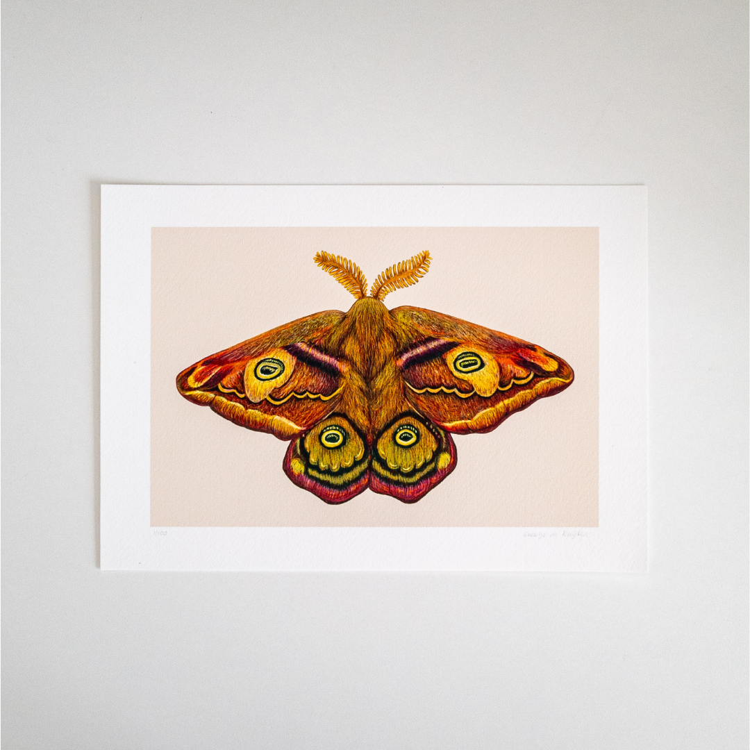 Studio Binck - Wholesale Kunstprint - Kunstdruk DE DERDE KEIZER2