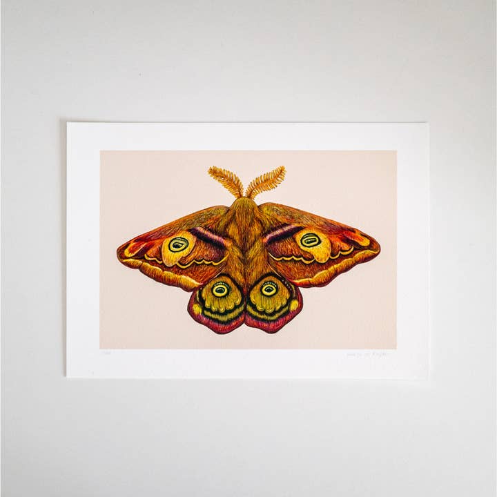 Studio Binck - Wholesale Art Print - Fine art print THE THIRD EMPEROR2